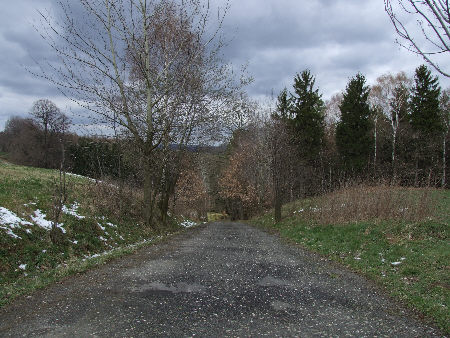 Der Täppigsteig von Krippen nach Kleinhennersdorf - Blick ins Elbtal Wanderbericht: Wanderung von Krippen - Täppigsteig - Kleinhennersdorf - Papstdorf - Papststein papstdorf papststein wanderung wanderroute krippen täppichtsteig täppigsteig kleinhennersdorf