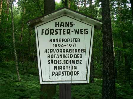 Der Hans-Förster-Weg am Aufstieg zum Papststein Der Hans-Förster-Weg am Papststein / Papstdorf papststein papstdorf hans förster foerster wanderweg route wanderung